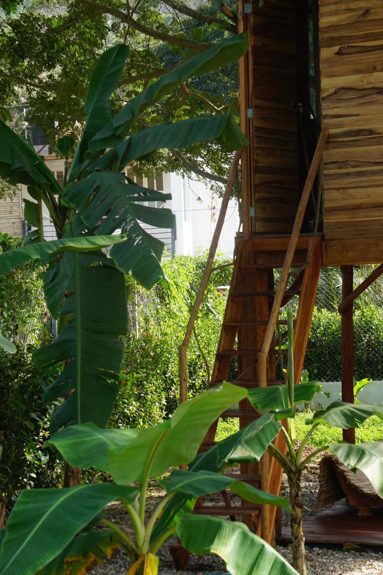 Atalaya Del Mar Palomino Hotel Kültér fotó